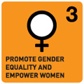 3 UN gender equality